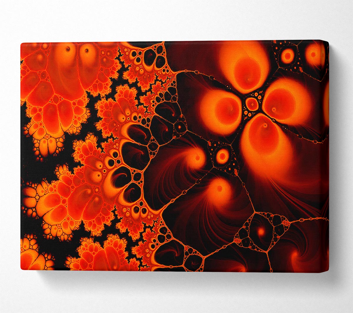 Hydrolysis Dream Red Orange