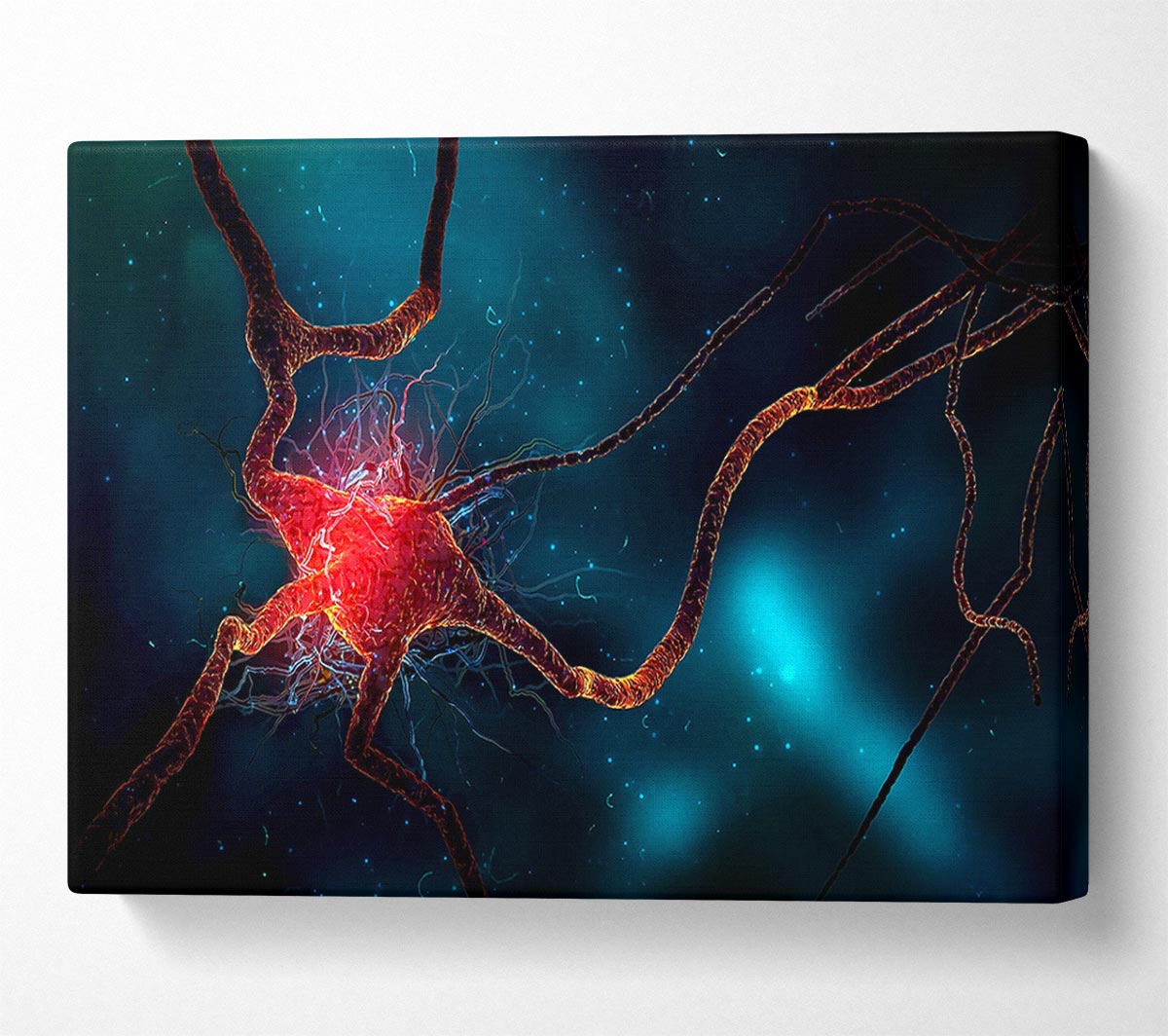 Neuron