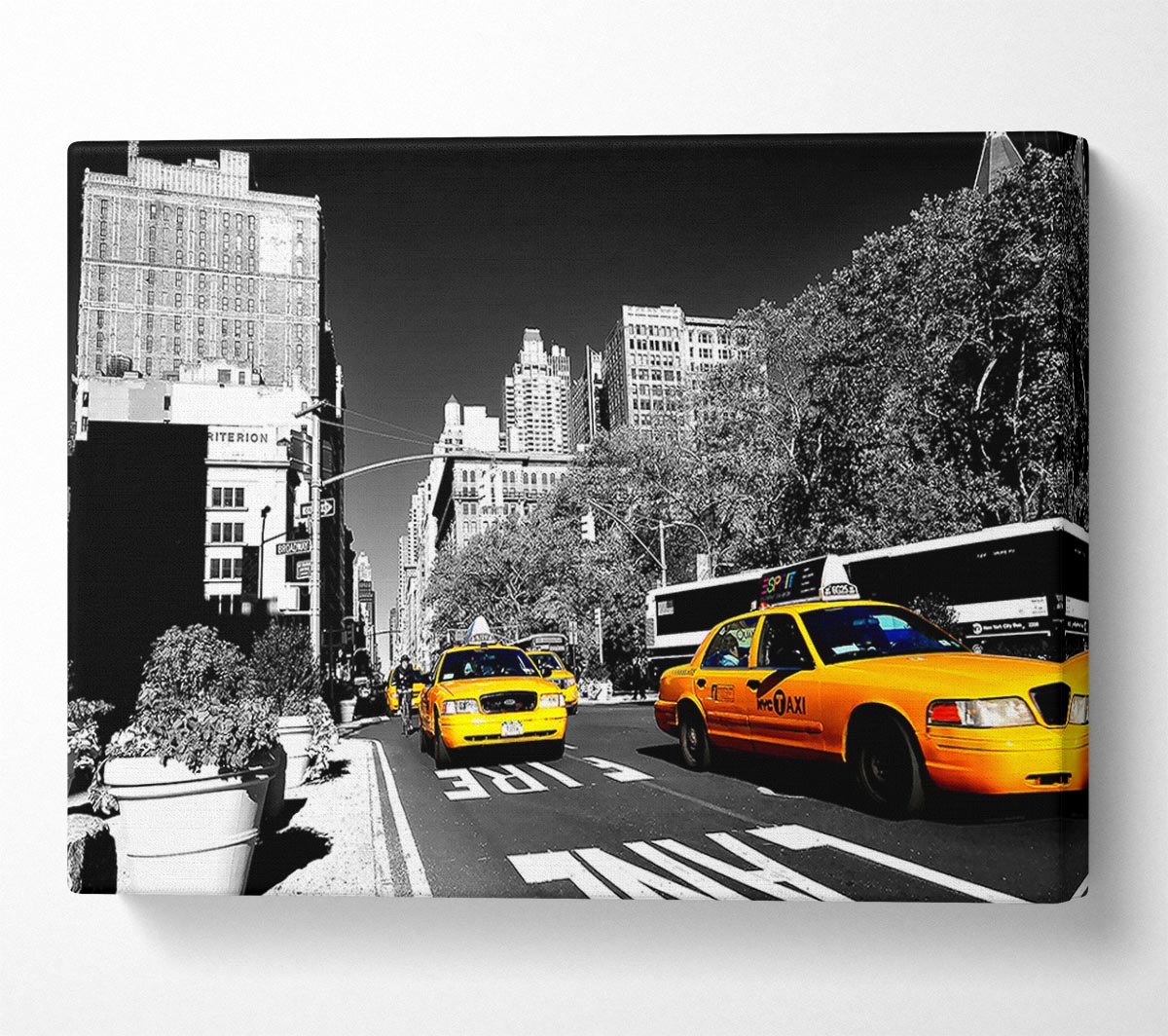 New York Taxi
