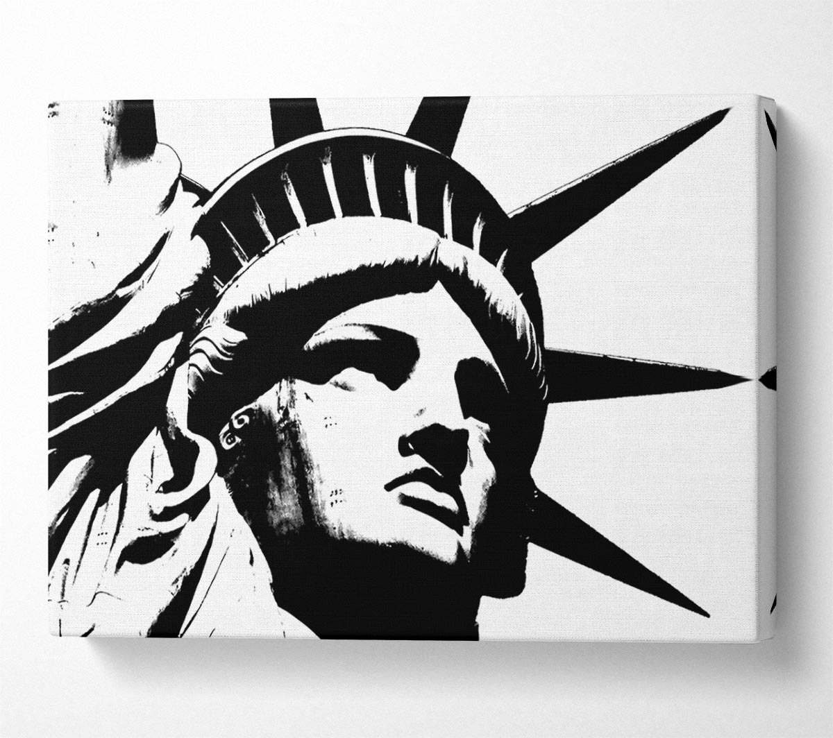 New York The Statue Of Liberty B n W