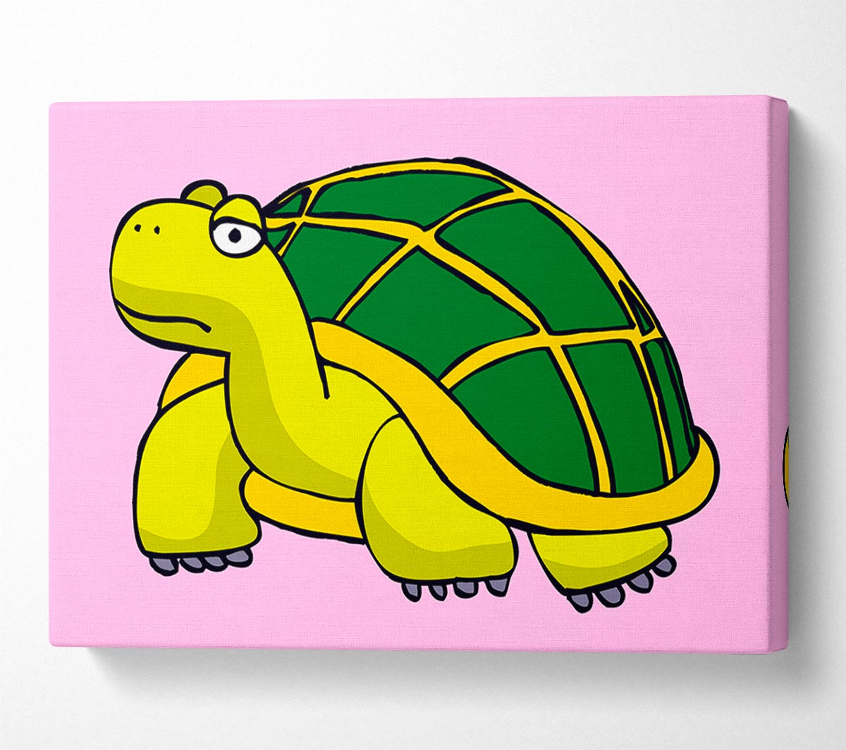 Big Turtle Pink