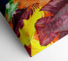 Feathers In Colours