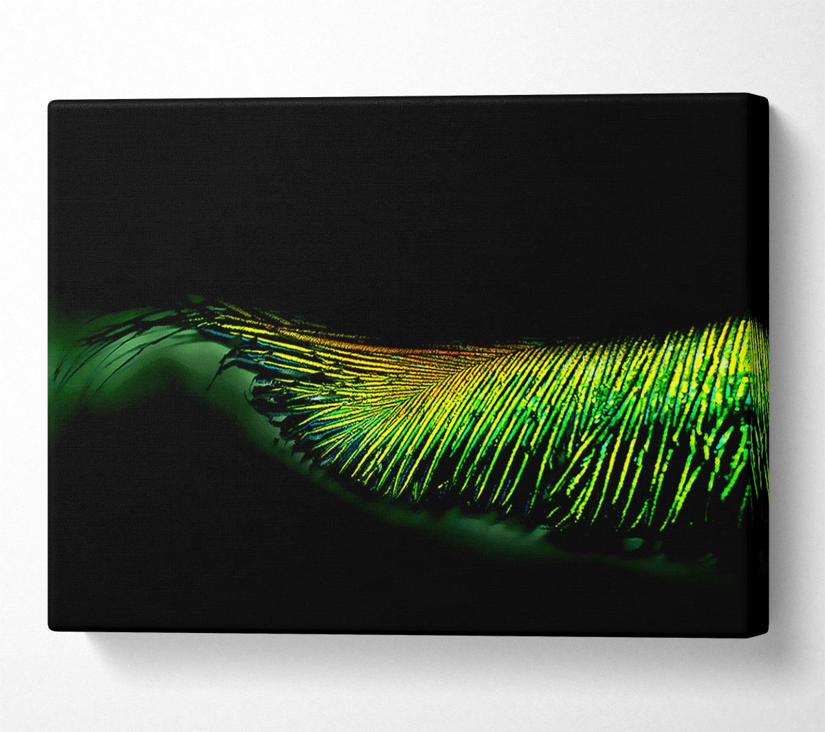 Vibrant Green Feather