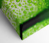 Green Leaf Dew Drop