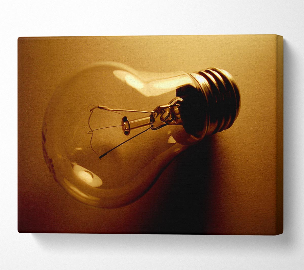 The Light Bulb