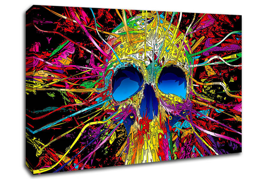 Colourful Skull