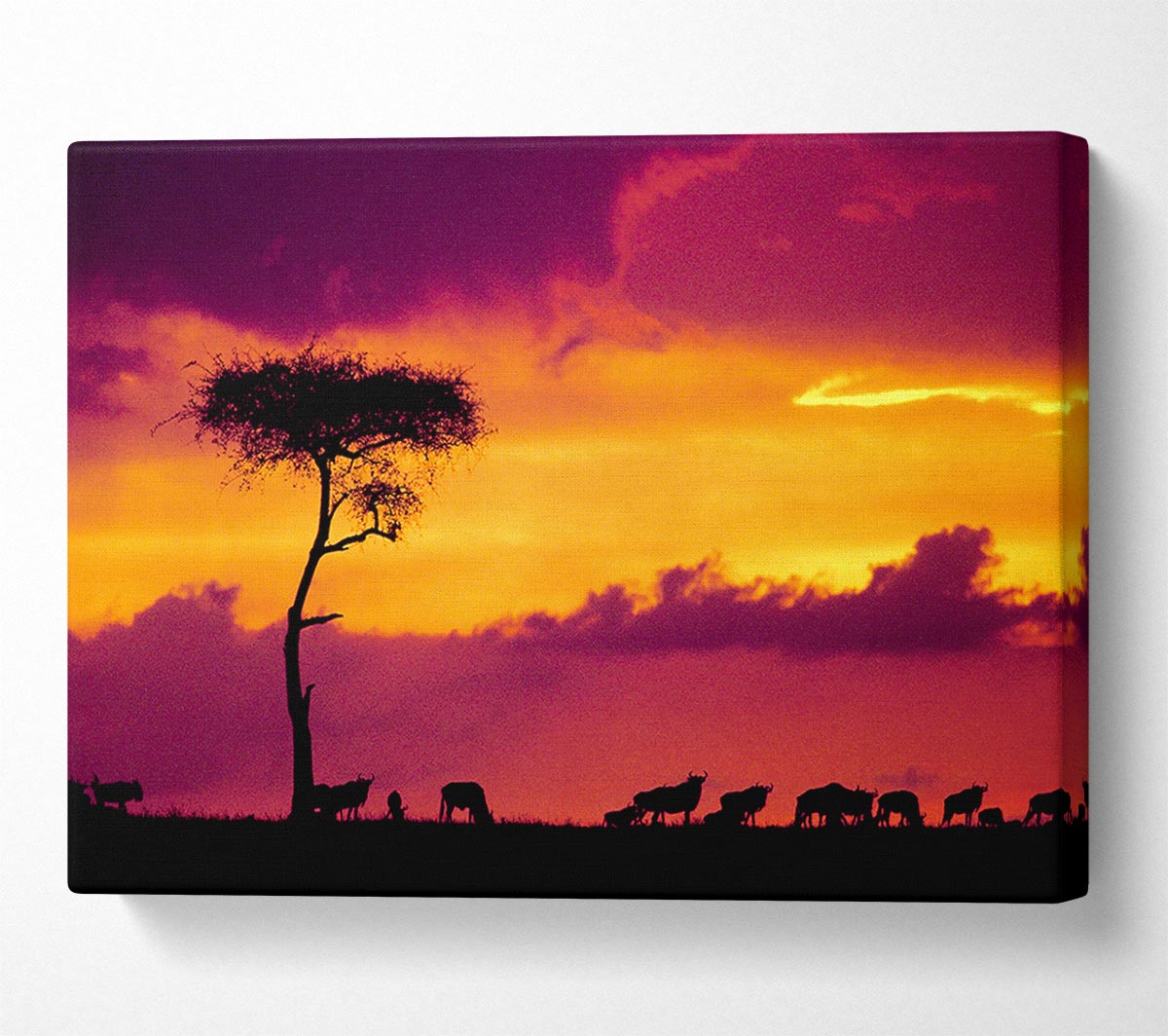 African Safari Sunset