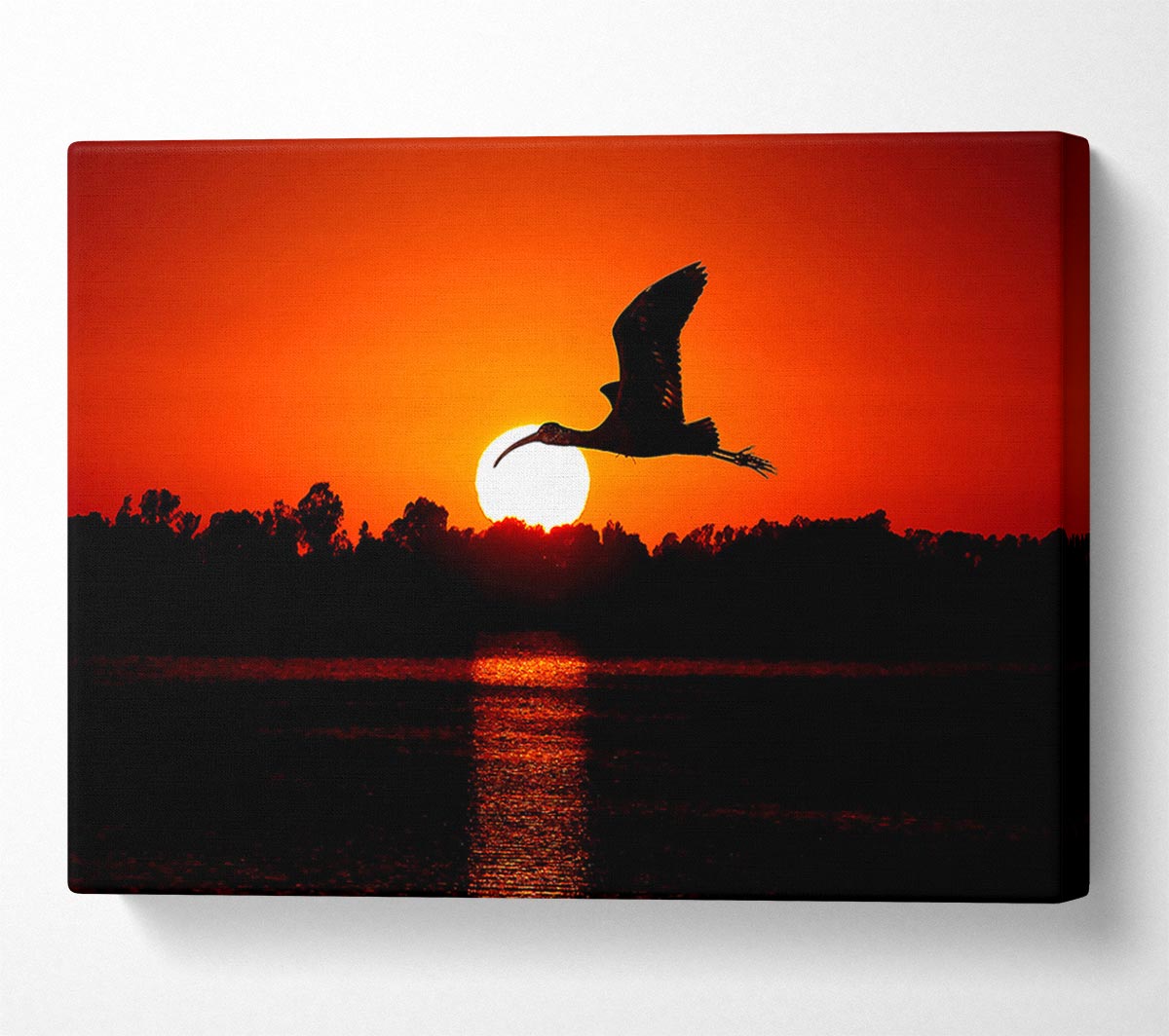 Bird Flying At Sunset