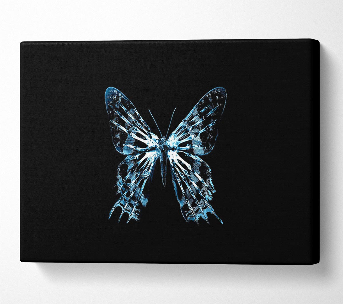 Butterfly X Ray