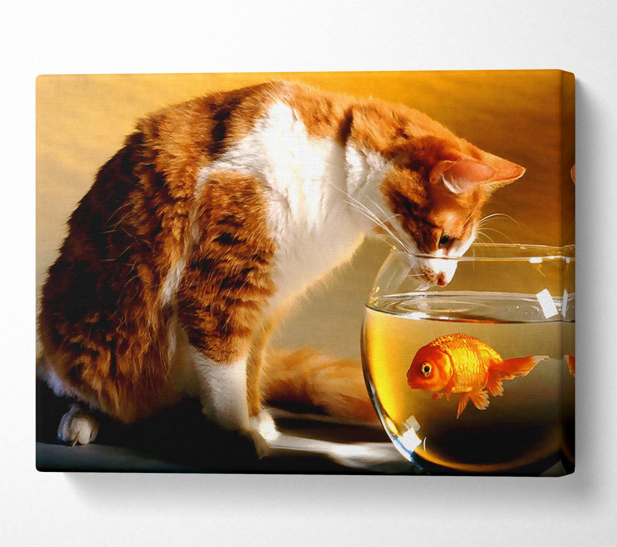 Cat And Fish