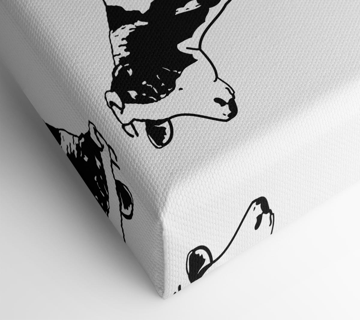 Cow Black And White