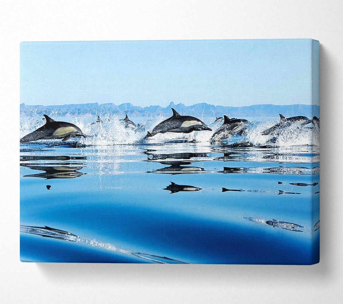 Dolphins In The Sea