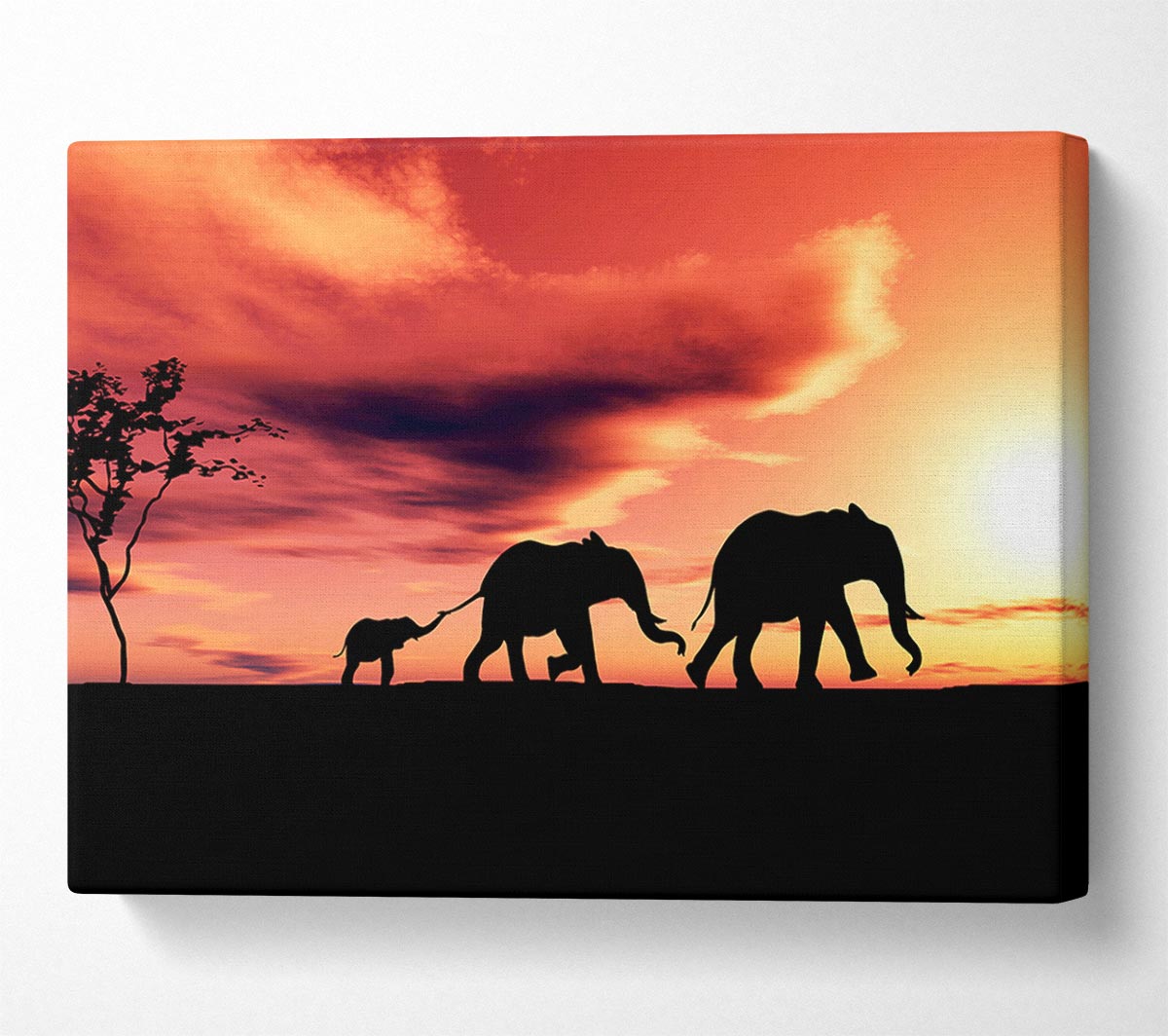 Elephant Family Sunset