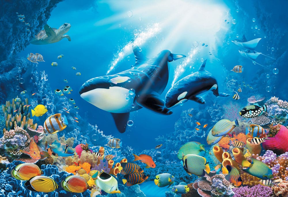 Tapeta për fëmijë OK10016-M