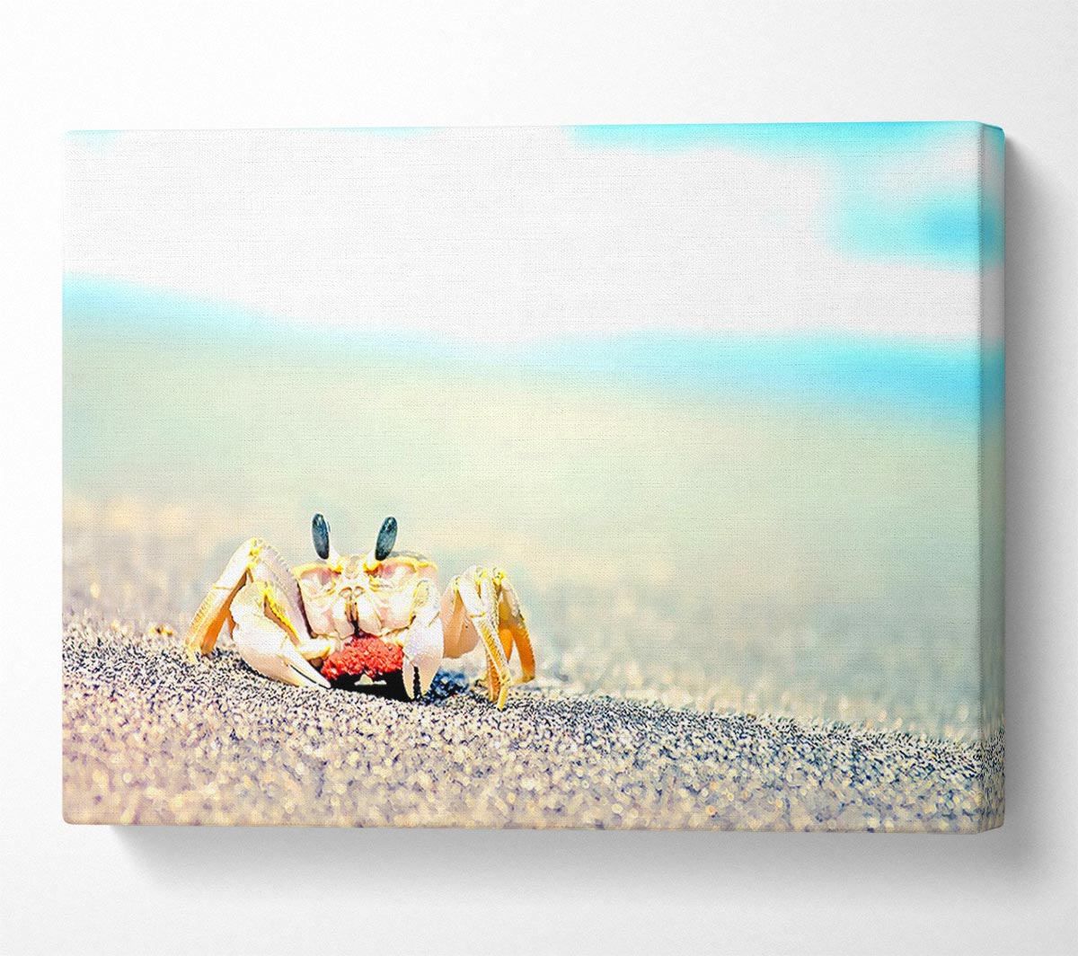 Lonely Crab