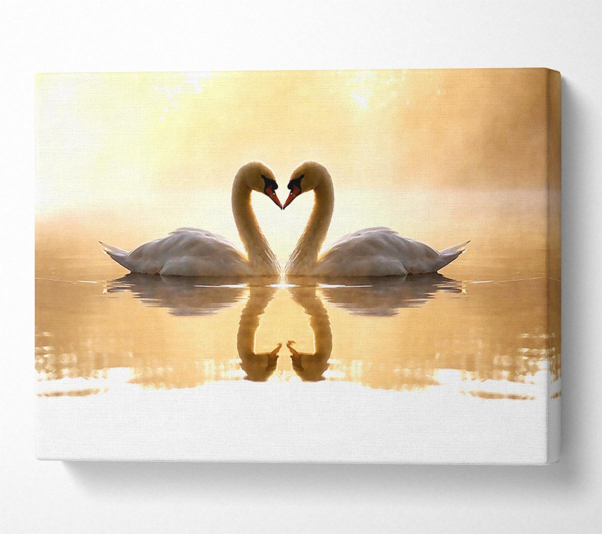 Loving Swans