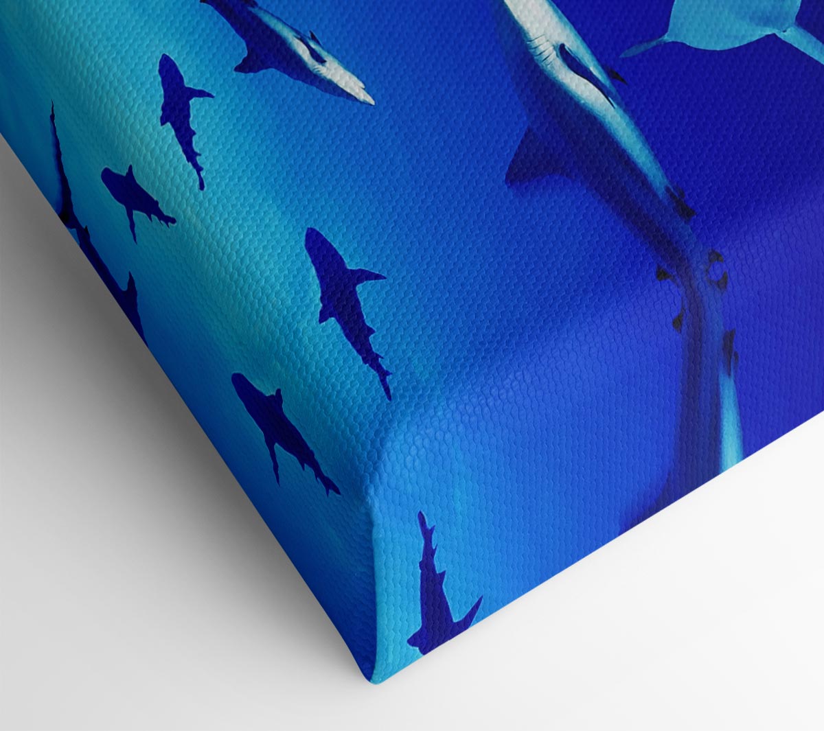 Sharks Ocean