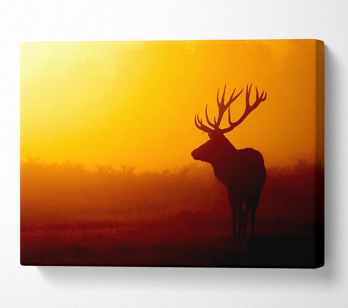 Stag At Sunset