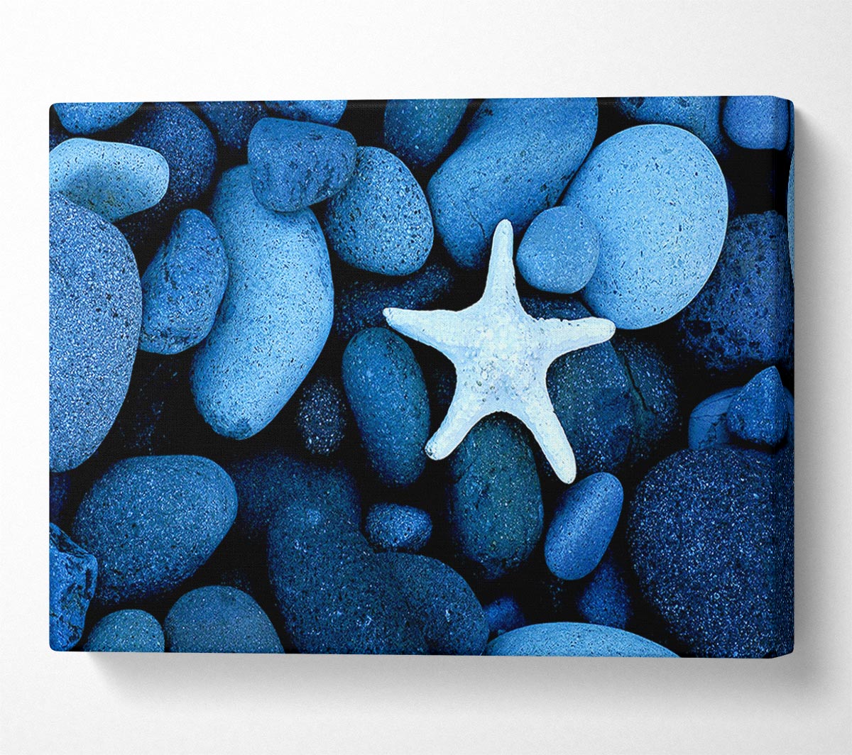 Star Fish Rocks