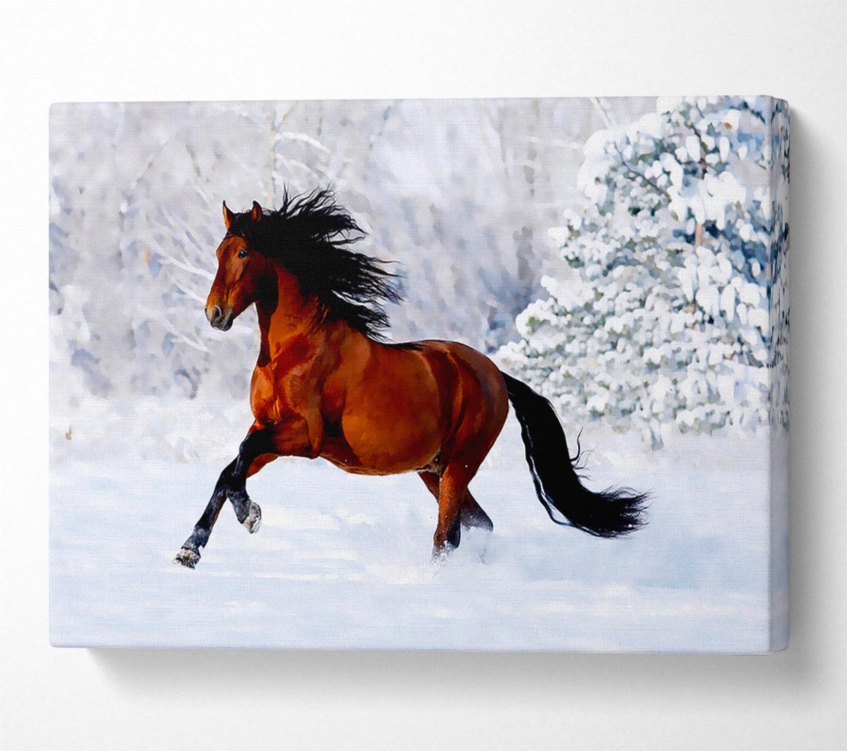 Wild Horse In The Snow