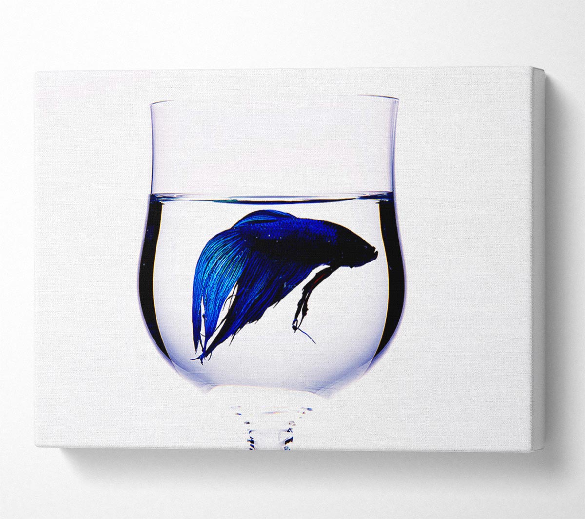 Wineglass Fish