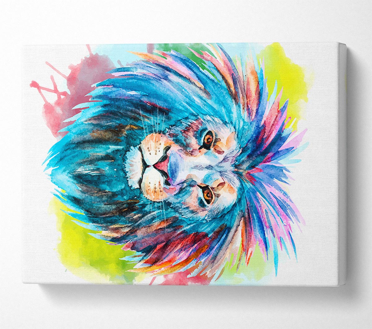 Blue Mained Lion