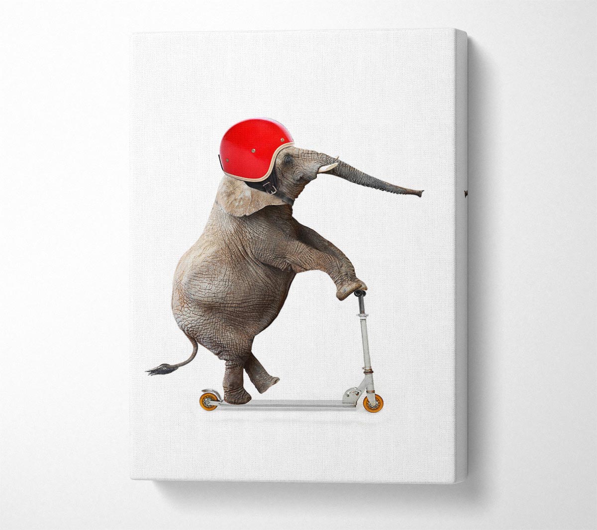 Elephant Scooter