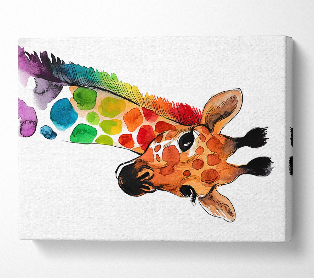 Rainbow Giraffe