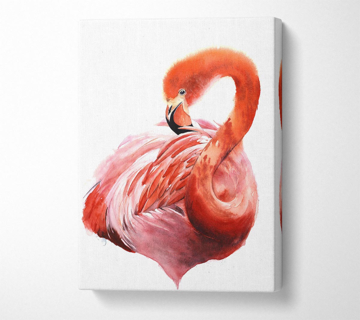 Flamingo Groom