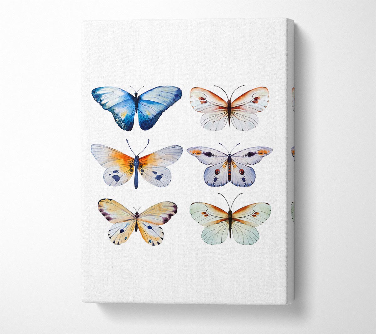 Butterfly Breeds