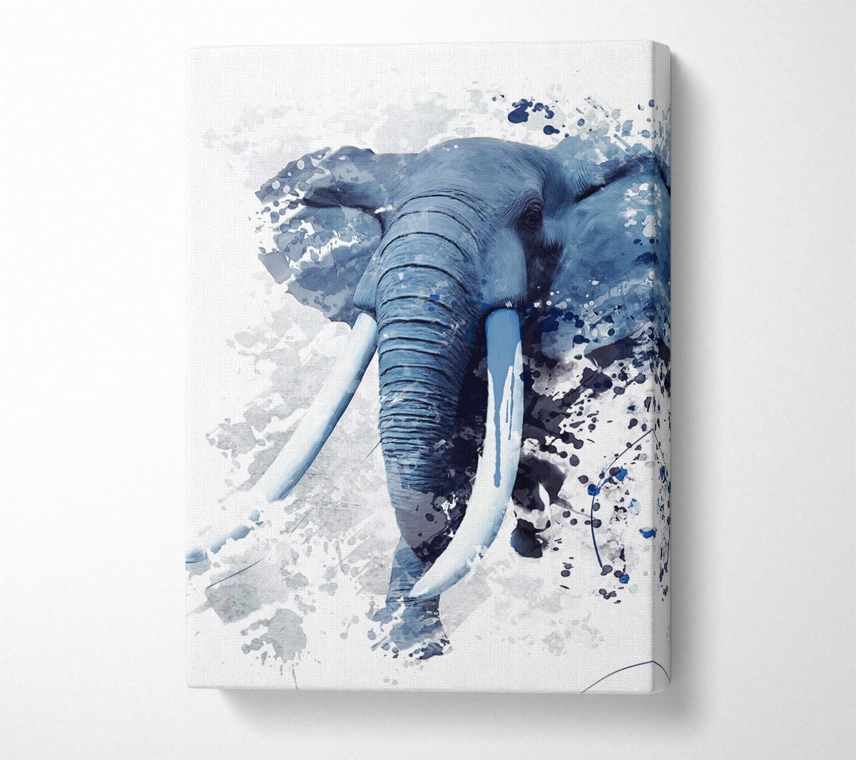 Elephant Grey