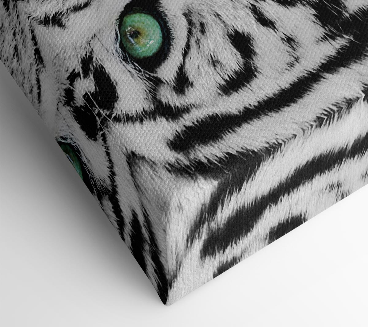 Green Eyed White Tiger