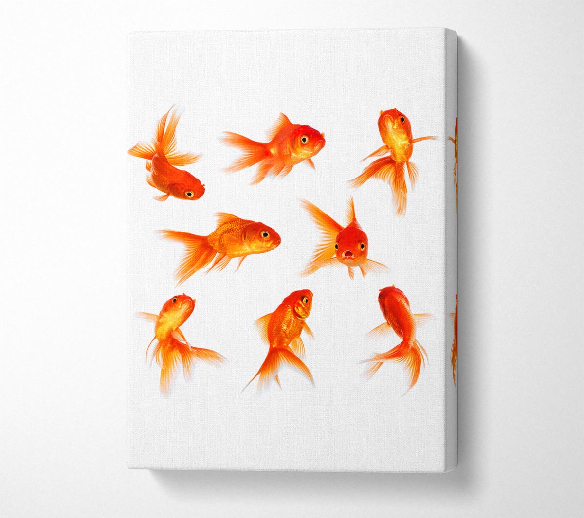 Goldfish Party