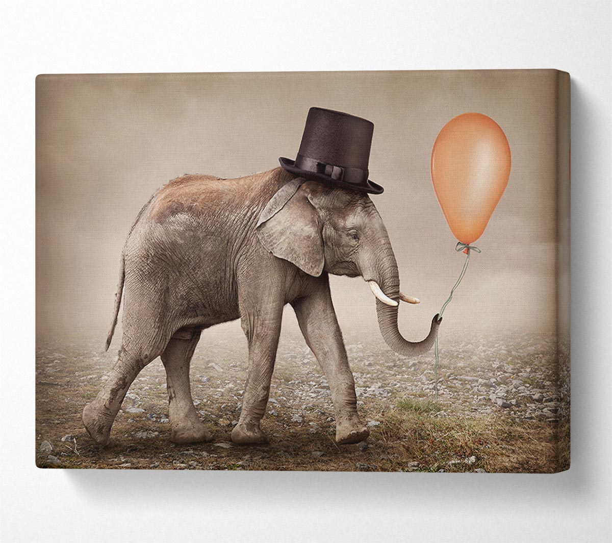 Top Hat Elephant