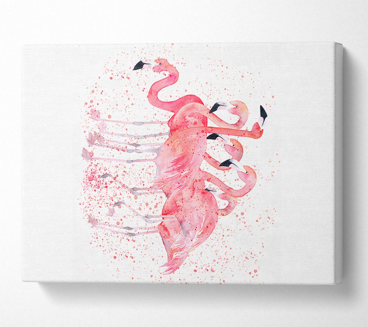 Pink Flamingo Splash