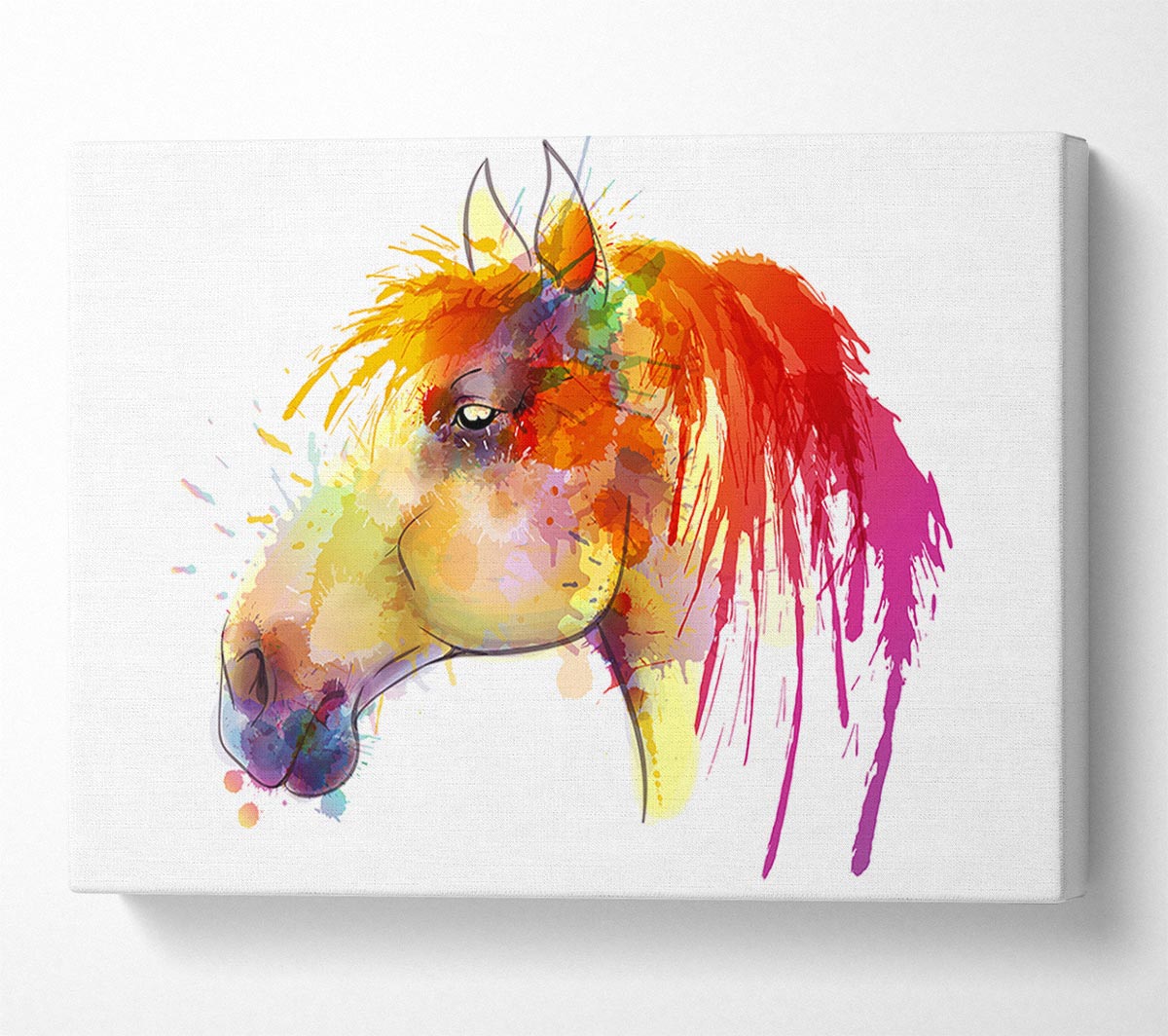 Beautiful Rainbow Horse