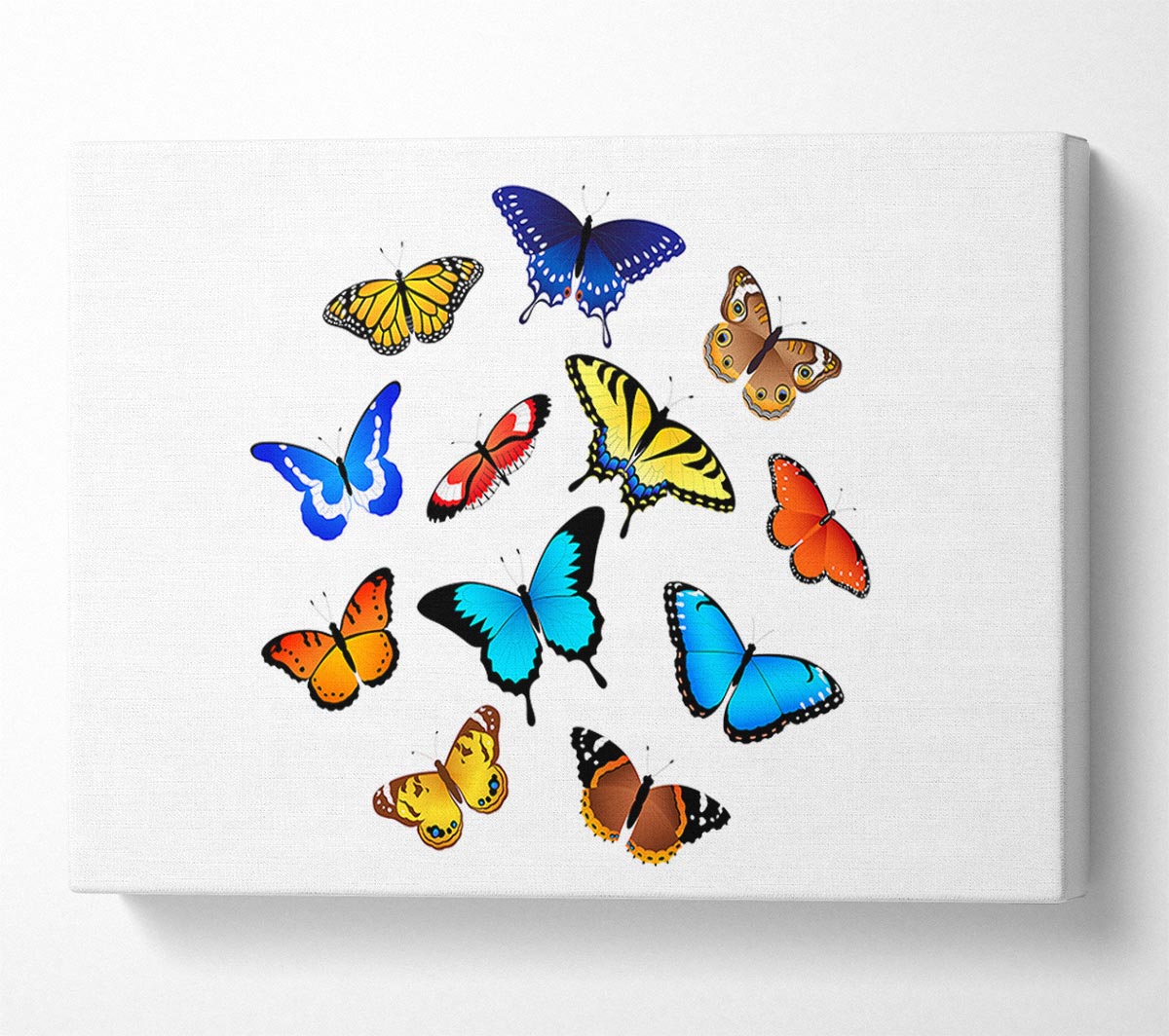 Colourful Butterflies