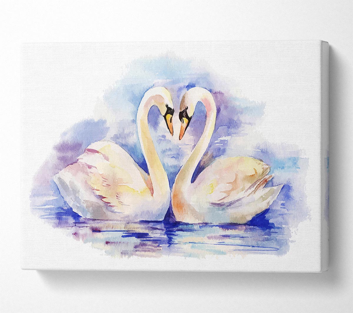 Swan Love