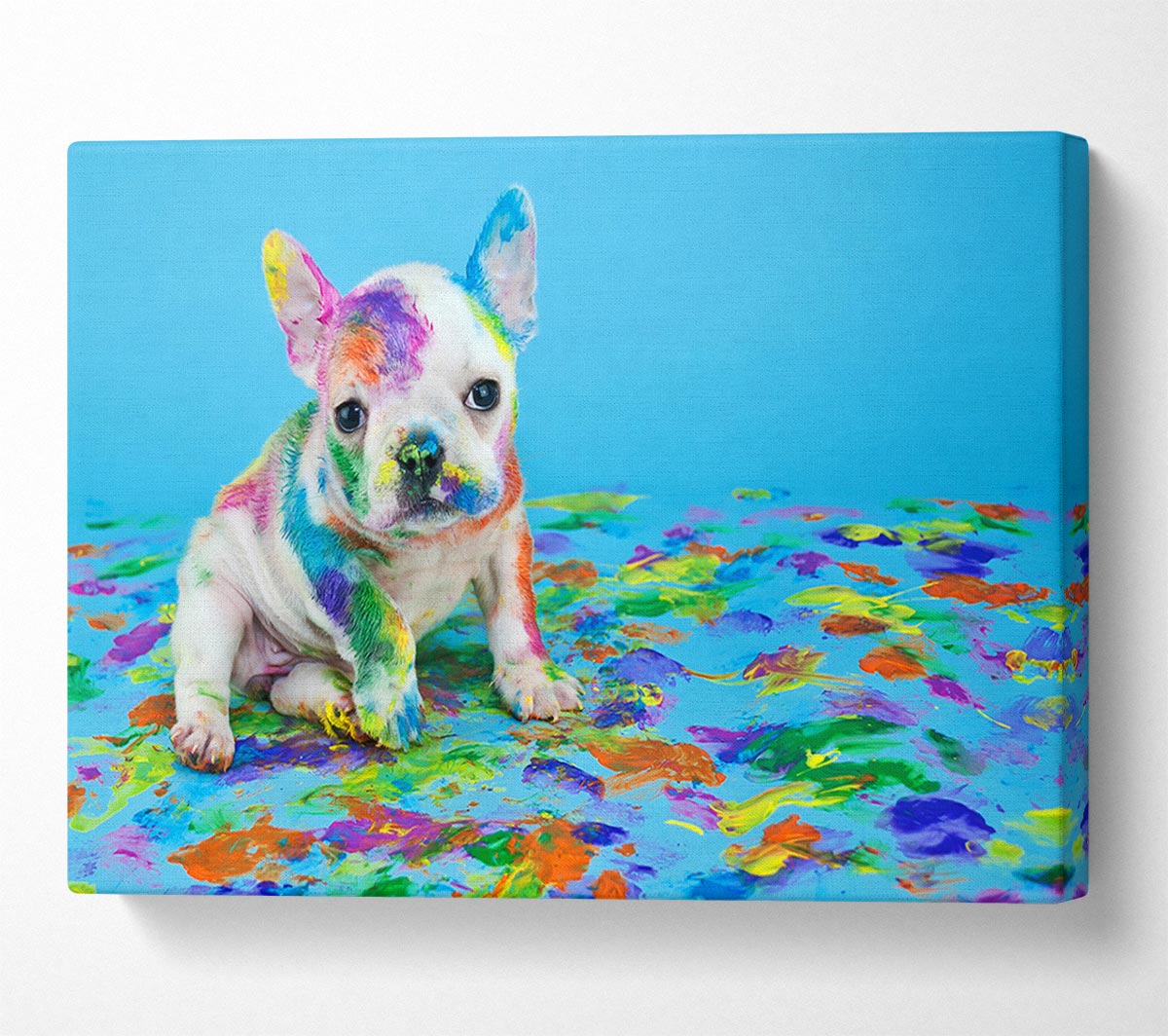 French Bulldog Paint Party