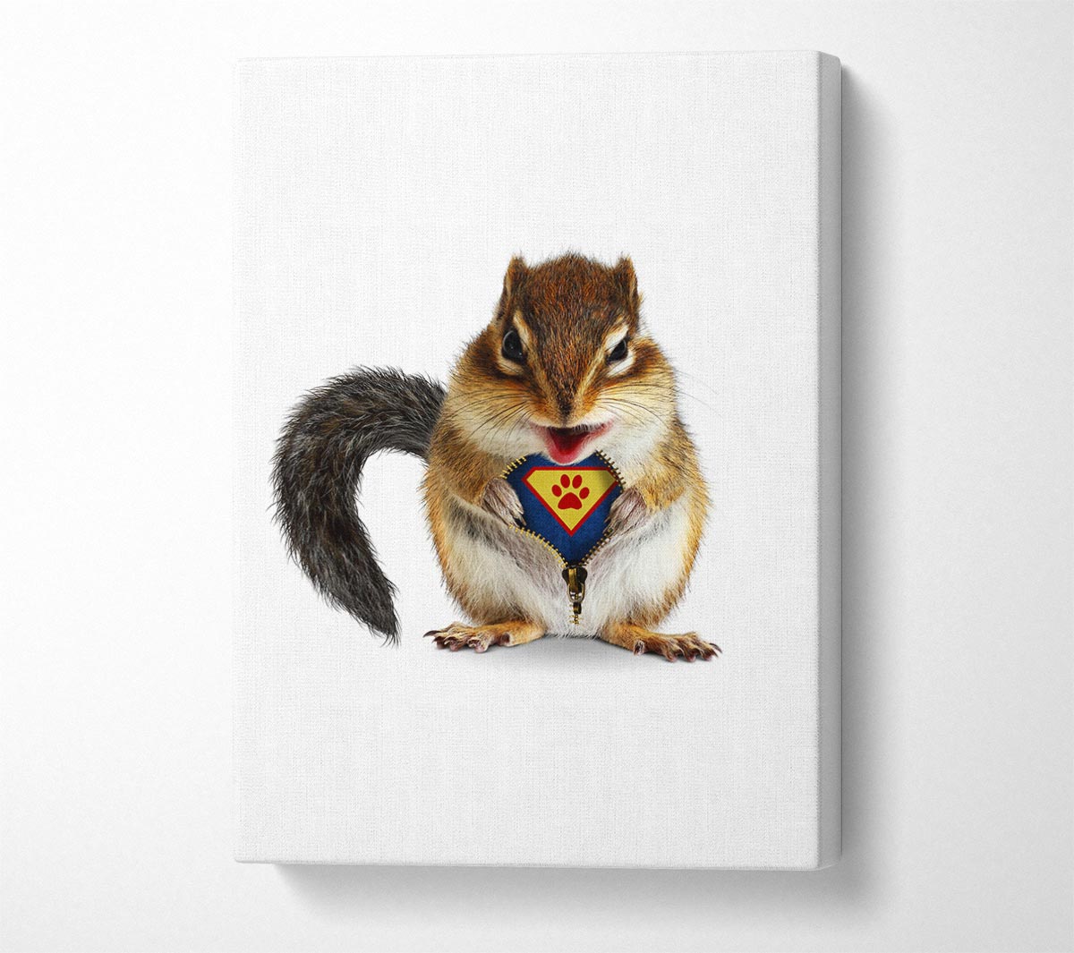 Super Squirrel