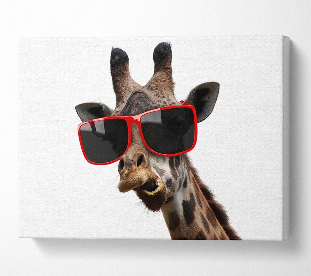 Funky Faced Giraffe