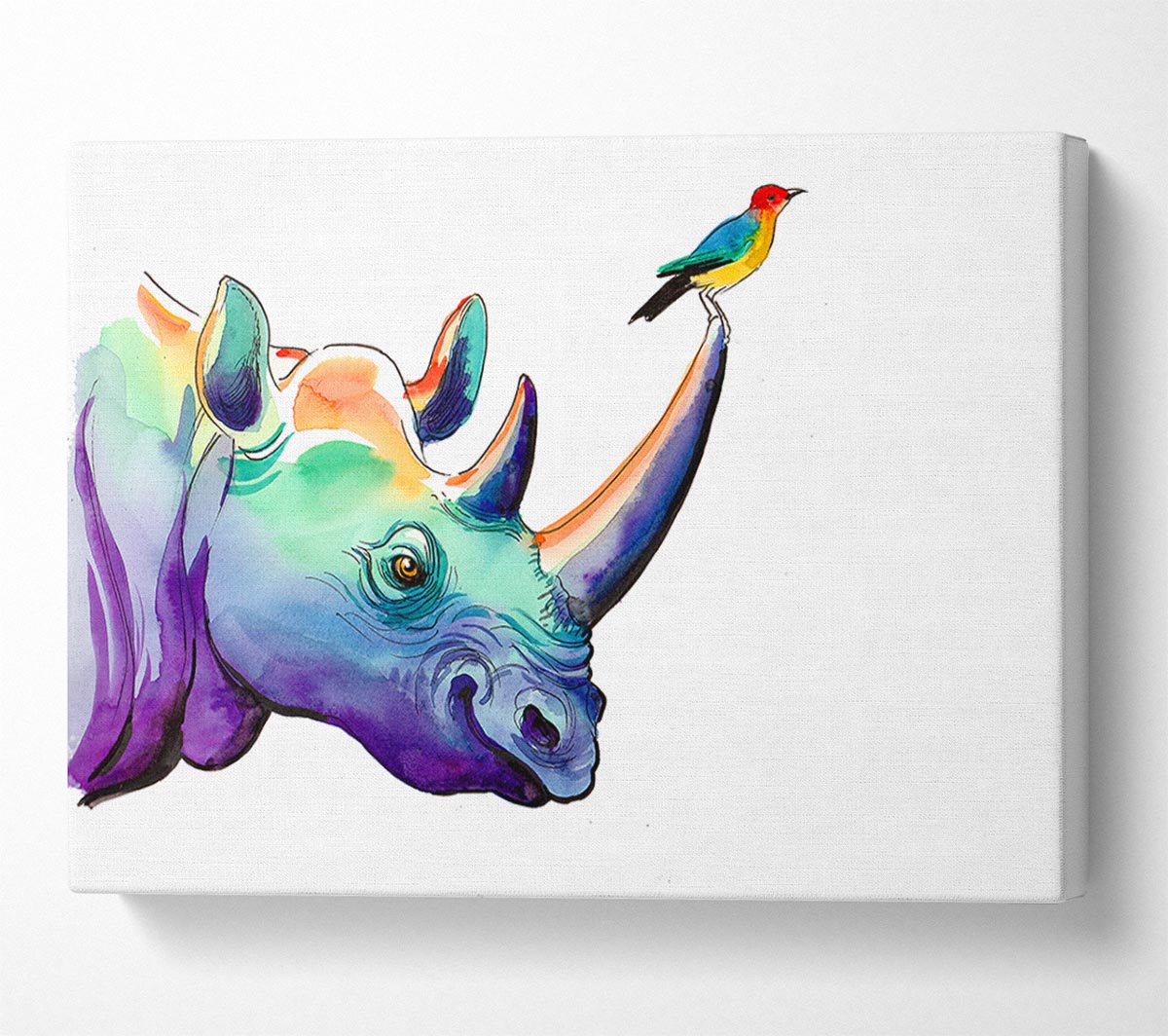 Rainbow Rhino Bird