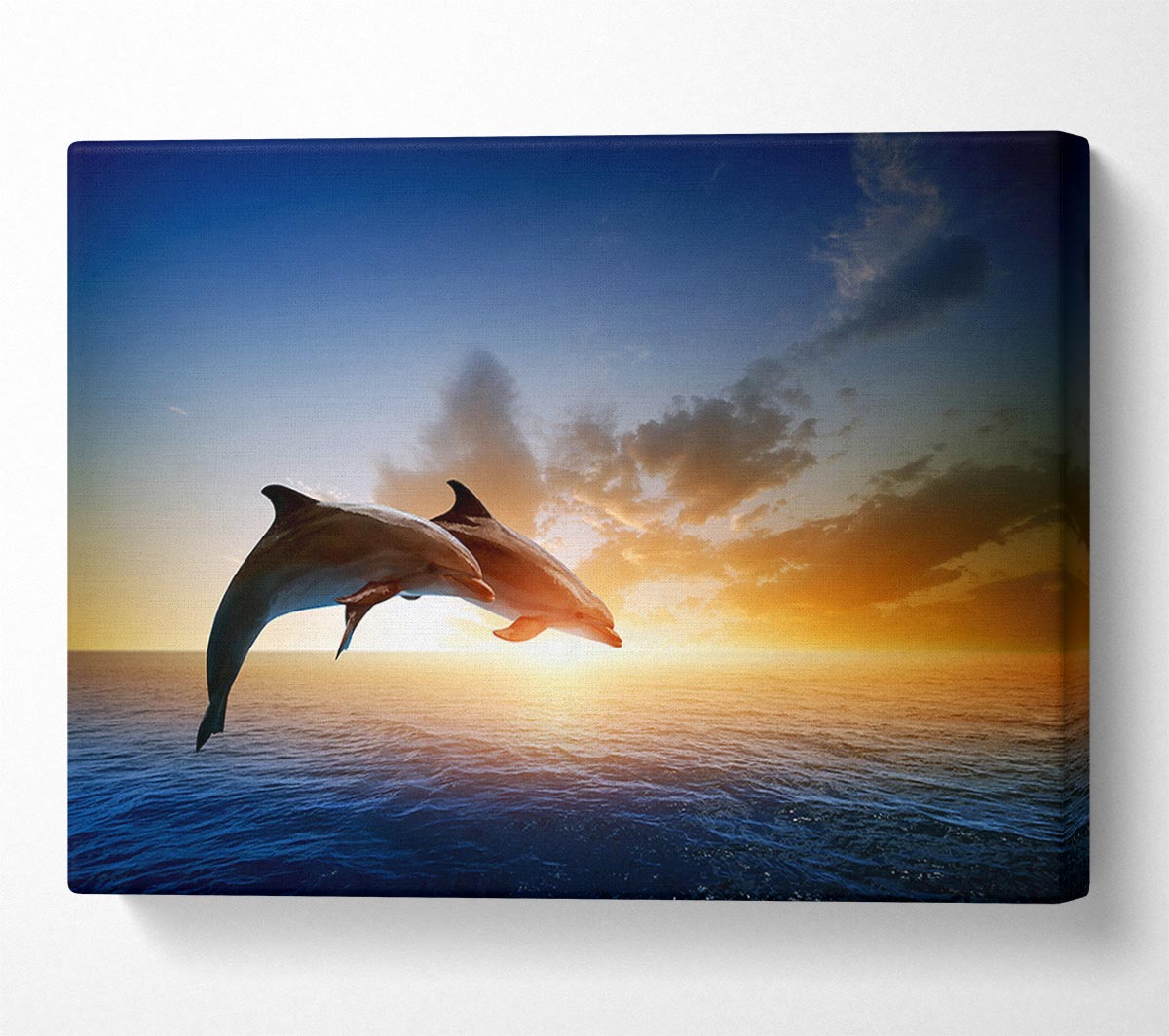 Jumping Sunset Dolphins