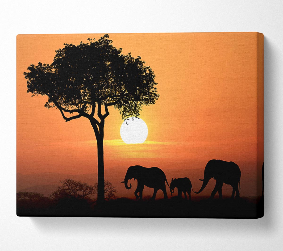 Elephant Safari Sunset