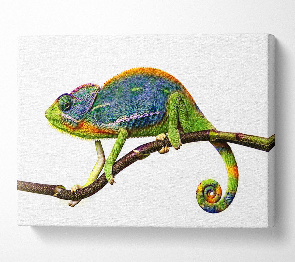 Chameleon Branch