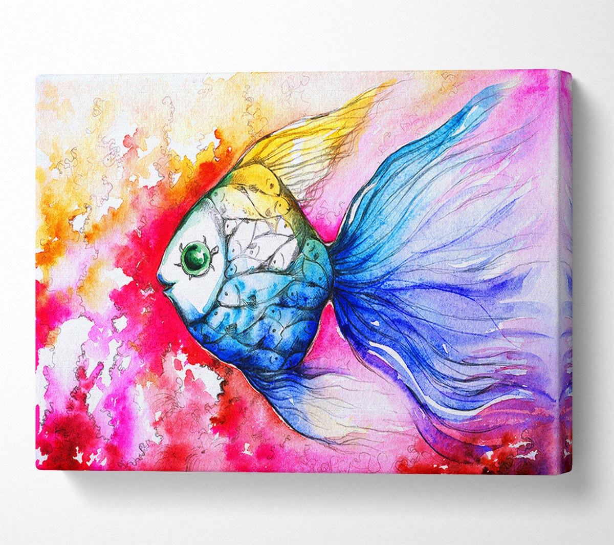 MultiColoured Fish