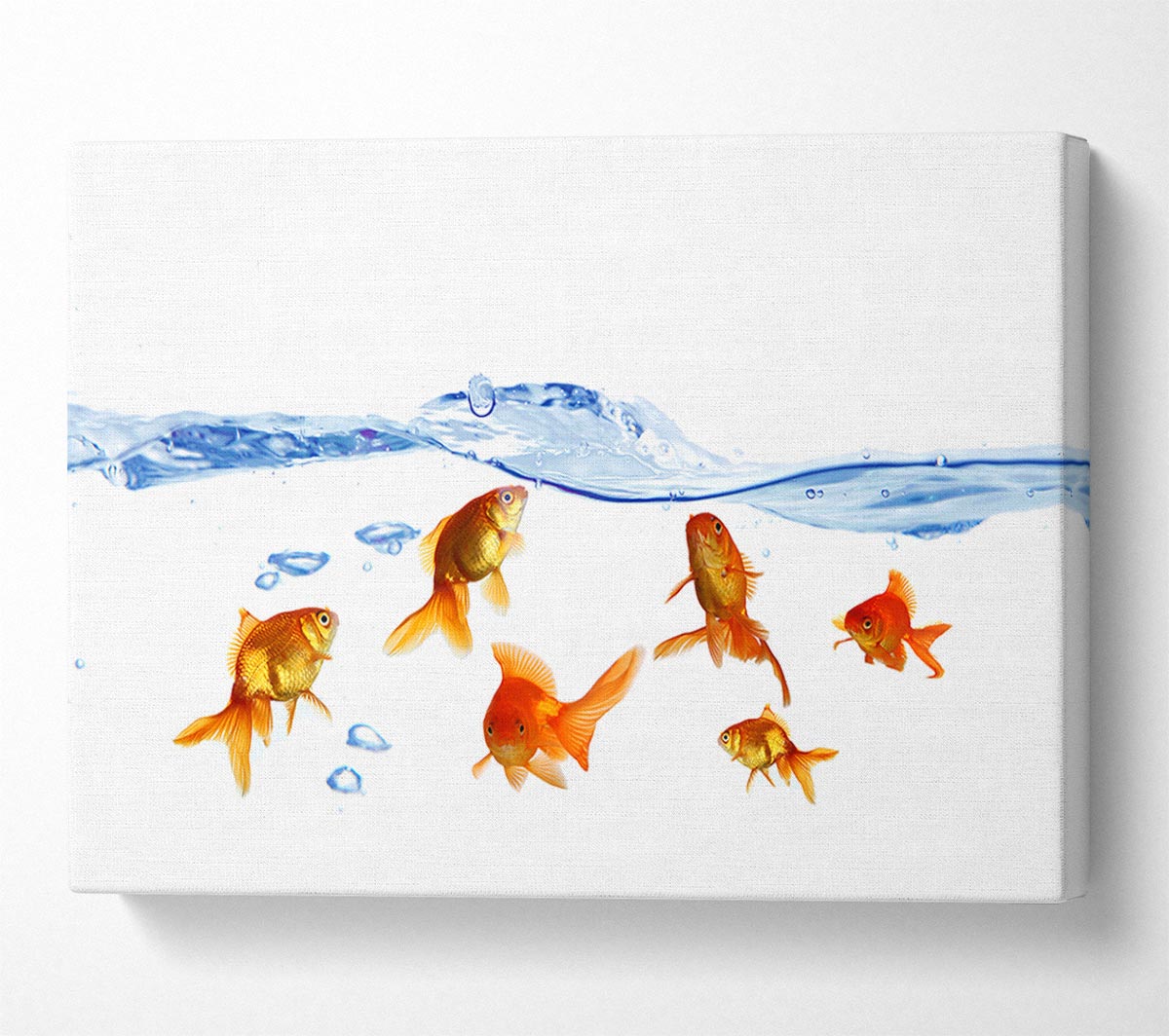 Goldfish Wave