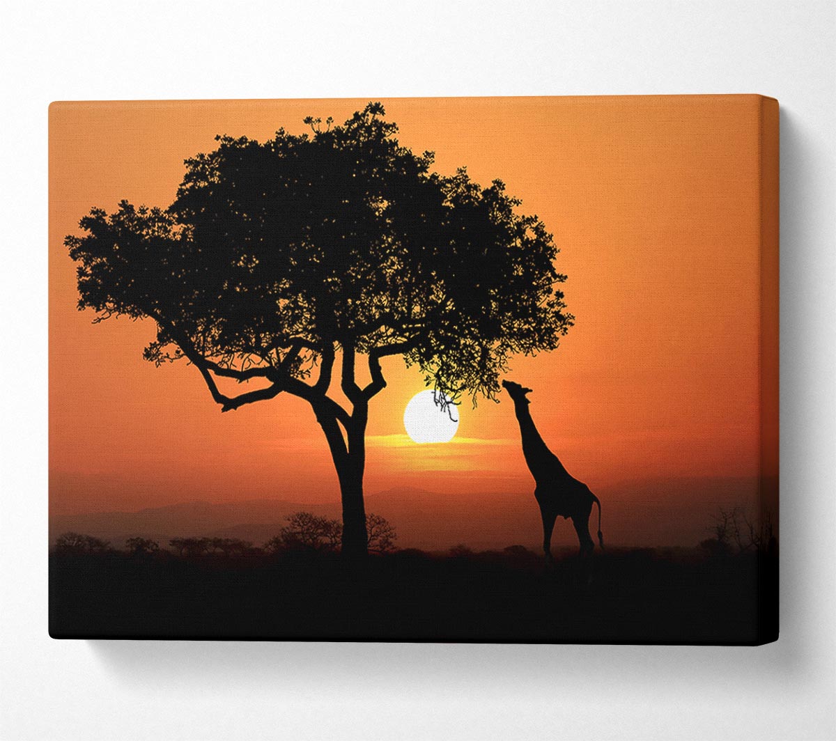 Giraffe Safari Sunset