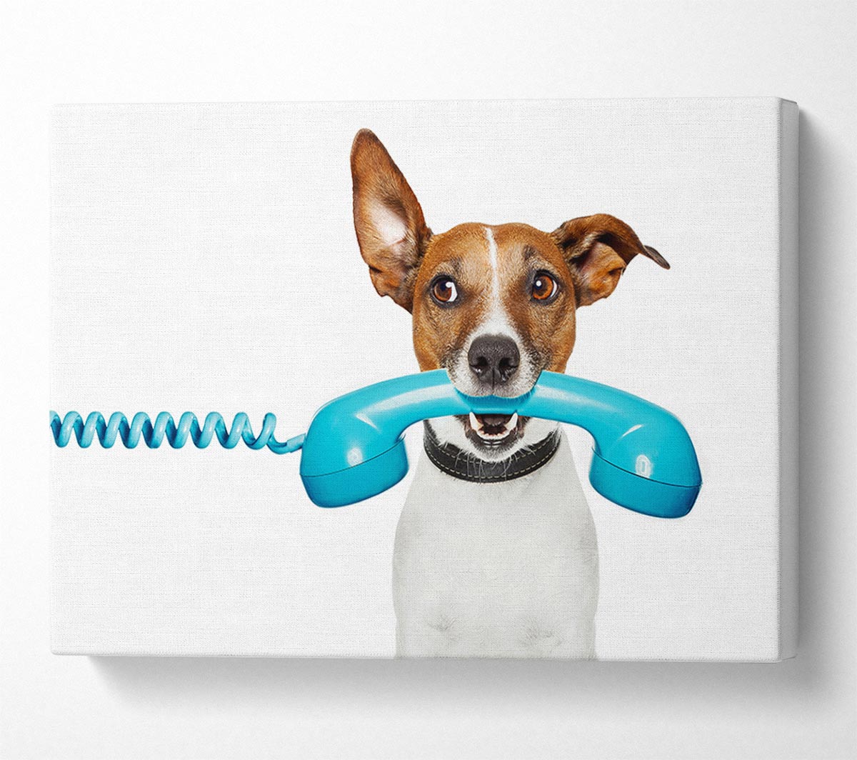 Terrier Dog Phone Call