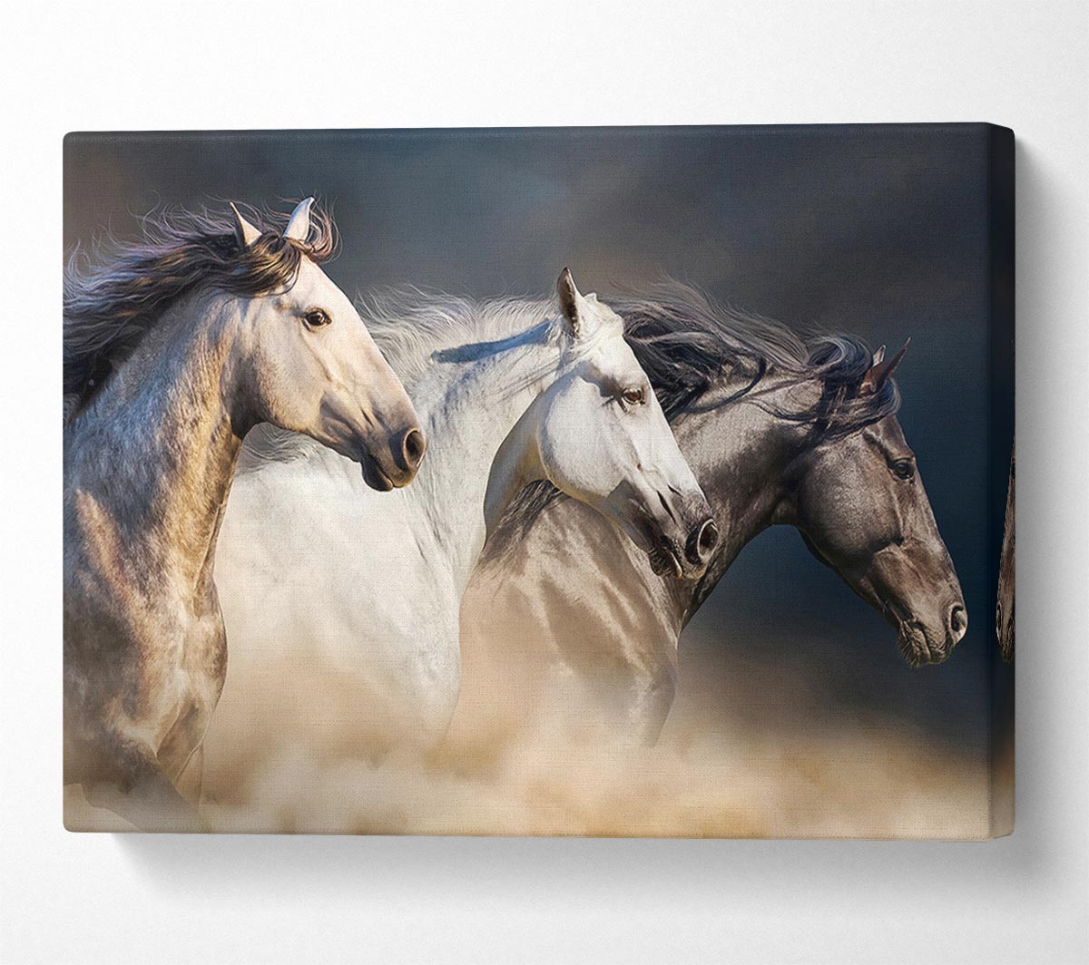 Wild Horse Trio